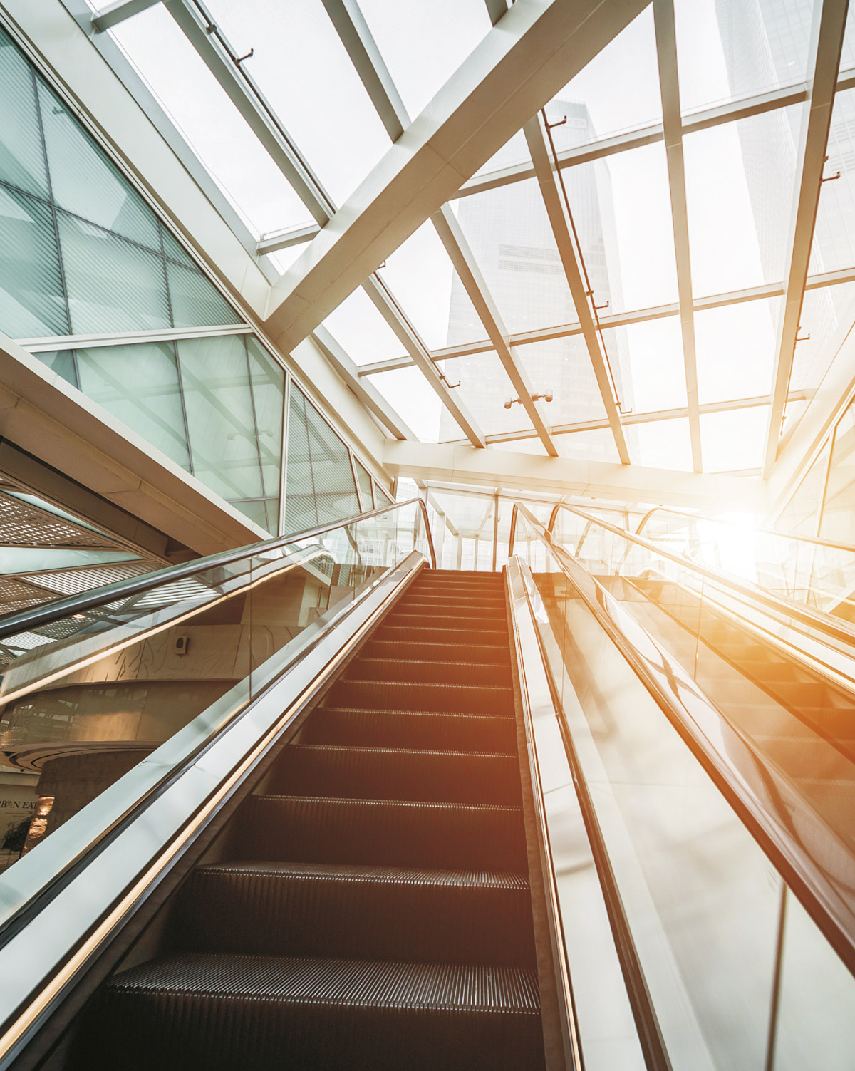 GRACES-T2 IFE Escalator brochure